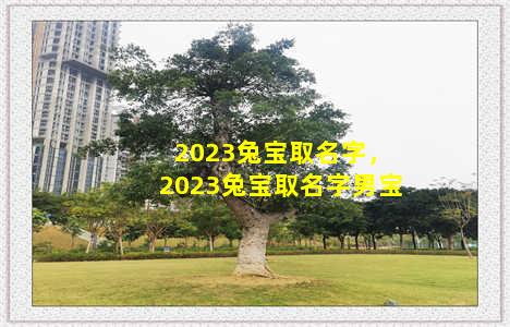 2023兔宝取名字，2023兔宝取名字男宝