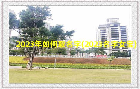 2023年如何取名字(2023名字女宝)