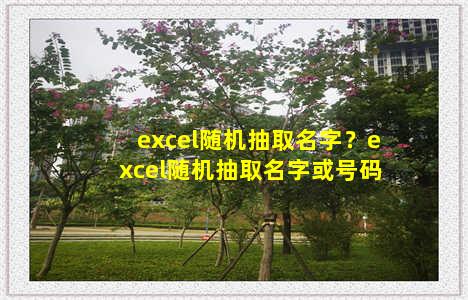 excel随机抽取名字？excel随机抽取名字或号码