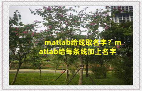 matlab给线取名字？matlab给每条线加上名字