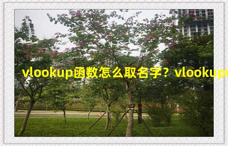 vlookup函数怎么取名字？vlookupname