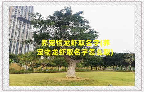 养宠物龙虾取名字(养宠物龙虾取名字怎么取)