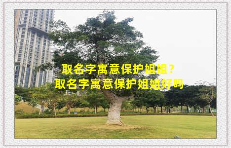 取名字寓意保护姐姐？取名字寓意保护姐姐好吗