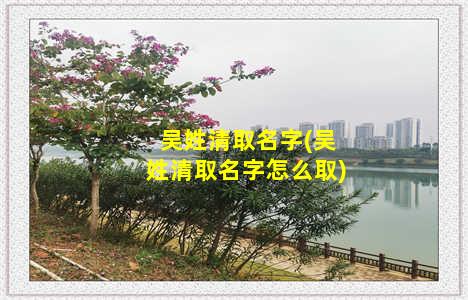 吴姓清取名字(吴姓清取名字怎么取)