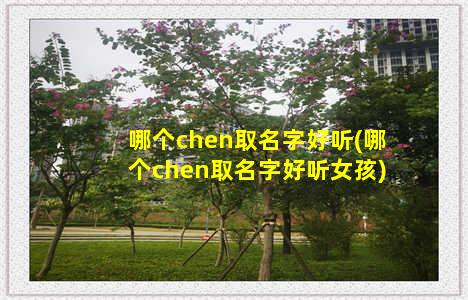 哪个chen取名字好听(哪个chen取名字好听女孩)