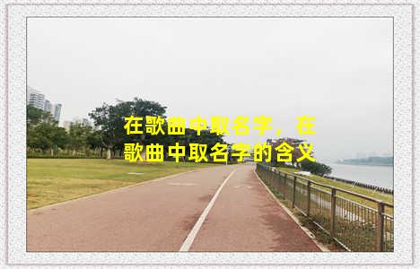 在歌曲中取名字，在歌曲中取名字的含义