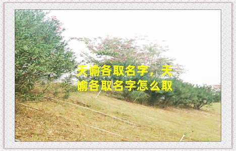 天谕各取名字，天谕各取名字怎么取