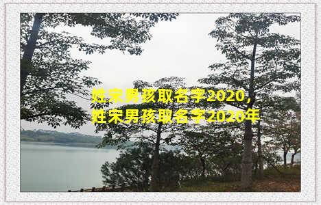 姓宋男孩取名字2020，姓宋男孩取名字2020年