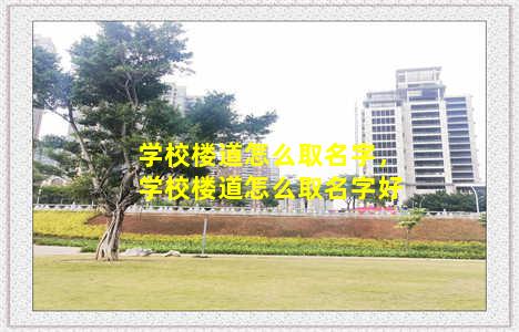 学校楼道怎么取名字，学校楼道怎么取名字好