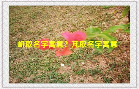 岍取名字寓意？芃取名字寓意