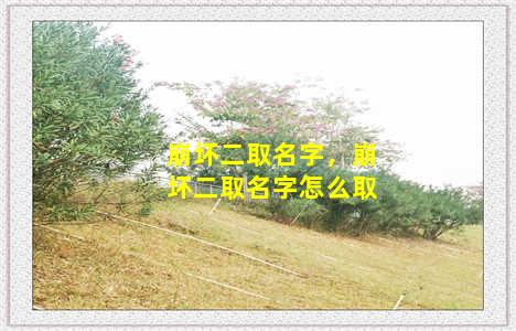 崩坏二取名字，崩坏二取名字怎么取