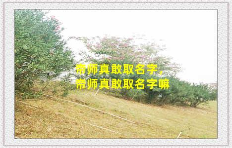 帝师真敢取名字，帝师真敢取名字嘛