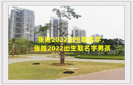 张姓2022出生取名字，张姓2022出生取名字男孩