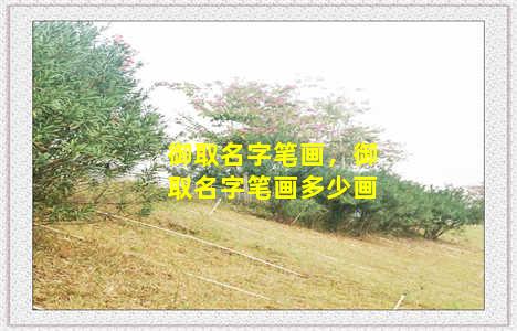 御取名字笔画，御取名字笔画多少画