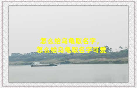 怎么给乌龟取名字，怎么给乌龟取名字可爱