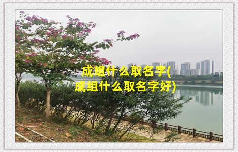 成组什么取名字(成组什么取名字好)