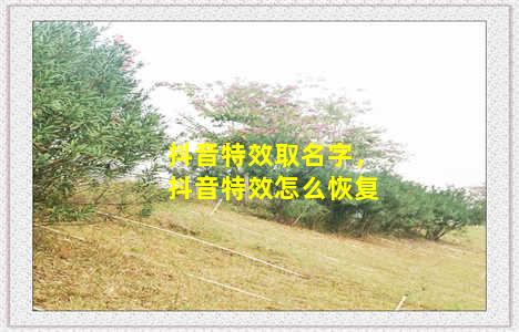 抖音特效取名字，抖音特效怎么恢复