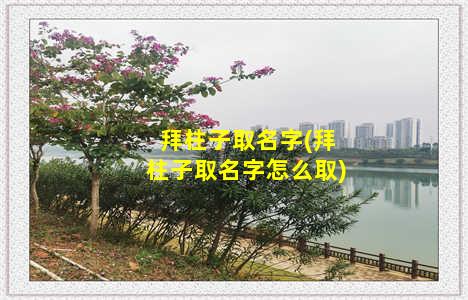 拜柱子取名字(拜柱子取名字怎么取)