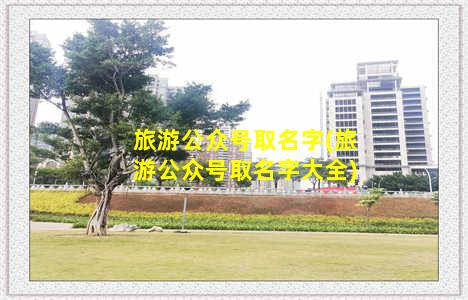 旅游公众号取名字(旅游公众号取名字大全)