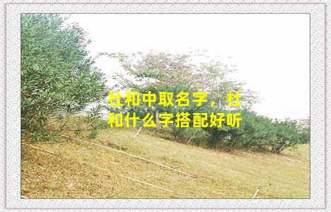 杜和中取名字，杜和什么字搭配好听