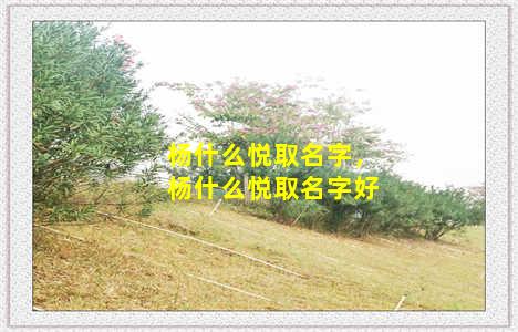 杨什么悦取名字，杨什么悦取名字好