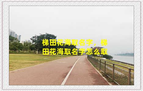 梯田花海取名字，梯田花海取名字怎么取