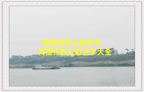 海藻球怎么取名字，海藻球怎么取名字大全