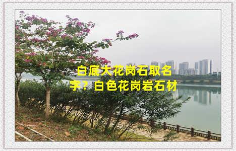 白底大花岗石取名字？白色花岗岩石材