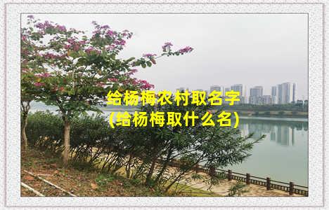 给杨梅农村取名字(给杨梅取什么名)