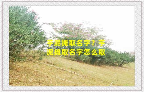 芋泥摊取名字？芋泥摊取名字怎么取