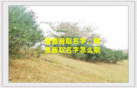 鲤鱼画取名字，鲤鱼画取名字怎么取